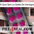 À Quoi Sert La Gelée De Kamagra 09
